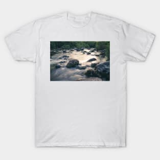 Barton Creek, Austin Texas 2 T-Shirt